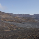 2013-05-09-view-toward-burn-in-La-Jolla-Valley-Springs-Fire-Chumash-IMG 0752