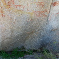 pictographs-and-ferns-Blair-Valley-Anza-Borrego-2010-03-29-IMG_4173.jpg