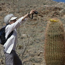 photographing-the-photographers-of-Ferocactus-cylindraceus-Rainbow-Canyon-2012-02-18-IMG 3956