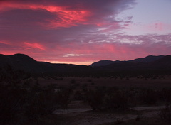 sunrise-Blair-Valley-Anza-Borrego-2012-03-11-IMG 0787