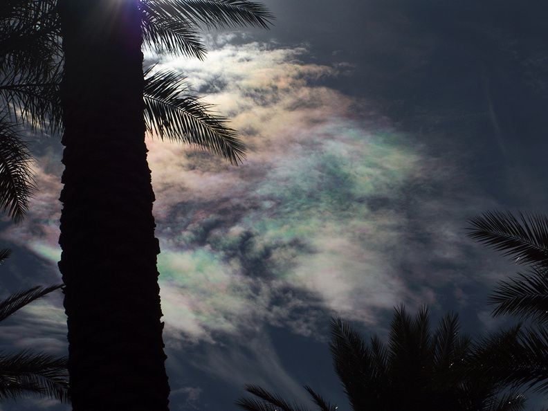 iridescent-clouds-at-Oasis-date-farm-2010-11-19-IMG_6546.jpg