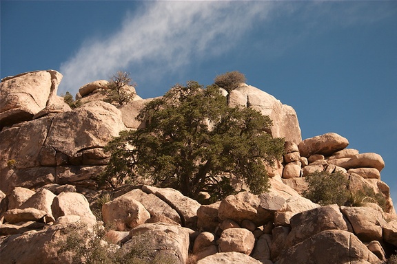 rock-formations-Barker-Dam-Trail-Joshua-Tree-2011-11-13-mriley-CRW 9042