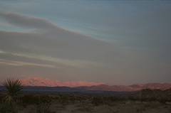 sunset-Pinto-Basin-south-Joshua-Tree-2011-11-11-IMG 3493