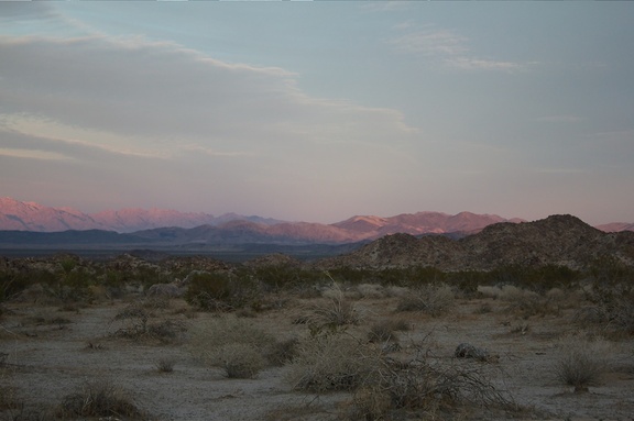 sunset-Pinto-Basin-south-Joshua-Tree-2011-11-11-IMG 3498