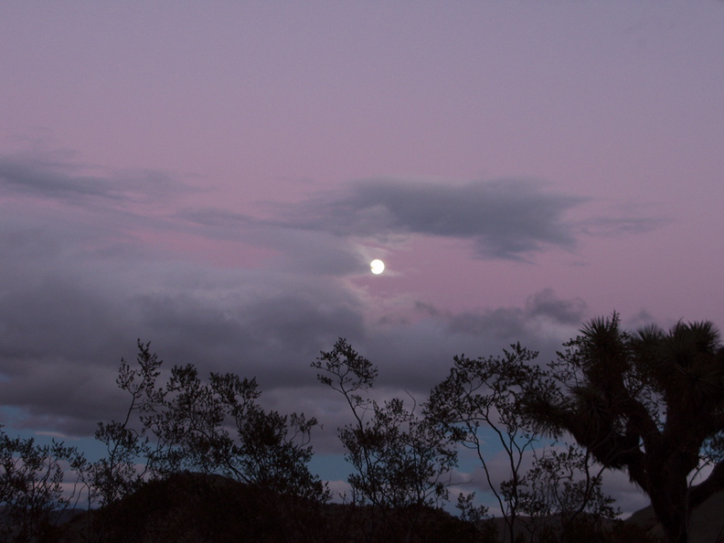 sunset-full-moon-Venus-belt-Joshua-Tree-2010-11-20-IMG_6702.jpg