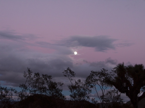 sunset-full-moon-Venus-belt-Joshua-Tree-2010-11-20-IMG 6702