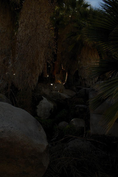spirits-in-the-rock-at-oasis-49-Palms-Joshua-Tree-2013-02-16-IMG_7430.jpg