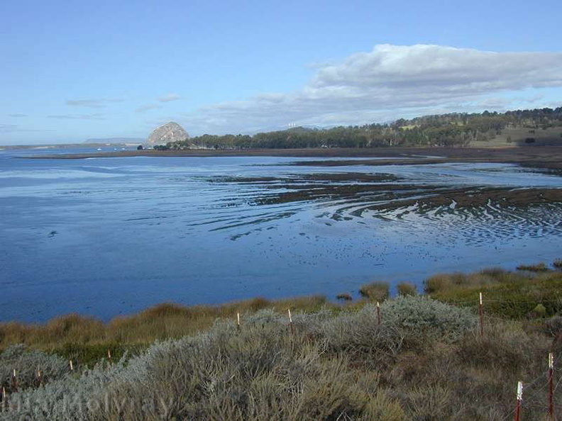 Morro-Bay-estuary-3-2000-11-22