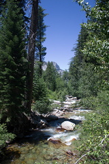 Bubbs-Creek-trail-Kings-CanyonNP-2012-07-08-IMG 6159