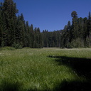 Crescent-Meadow-SequoiaNP-2012-07-31-IMG 6391