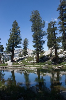 Heather-Lake-view-south-wetlands-SequoiaNP-2012-08-02-IMG 6594