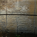 fir-engraver-beetle-galleries-on-fallen-log-Buena-Vista-trail-SequoiaNP-2012-08-01-IMG 6500