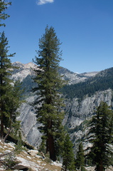limber-pines-near-Heather-Lake-SequoiaNP-2012-08-02-IMG 6582