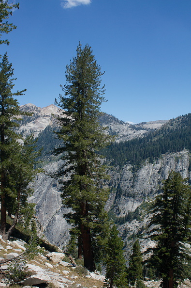 limber-pines-near-Heather-Lake-SequoiaNP-2012-08-02-IMG_6582.jpg