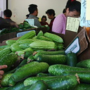 cucumbers-sf-chinatown-greengrocers-2-2006-06-29