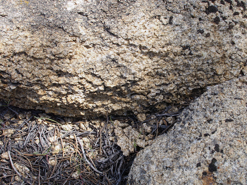 granite-weathering-Pinyon-Joshua-woodland-rte18-Cactus-Springs-San-Bernardino-NF-2015-03-29-IMG_4721.jpg
