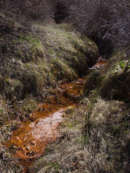 orange-colored-deposits-in-minor-creek-rte38-San-Bernardino-Natl-Forest-2015-03-28-IMG_4552.jpg