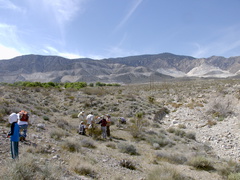 view-toward-San-Bernardino-National-Forest-rte18-Mojave-Desert-2015-03-29-IMG 4655
