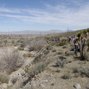 view-toward-desert-rte18-Mojave-Desert-2015-03-29-IMG 4654