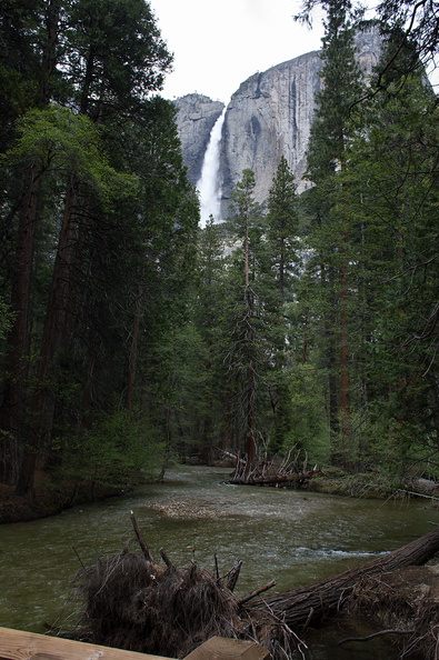 Merced-River-and-Yosemite-Falls-2010-05-24-IMG 0853