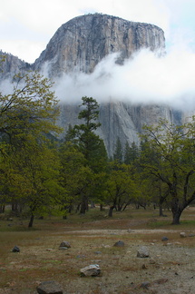 cloud-and-cliffs-near-Bridalveil-Fall-Yosemite-Valley-2010-05-26-IMG 0911