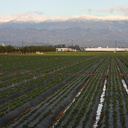 snow-Ventura-Santa-Ynez-Mts-2008-01-07-img 5825