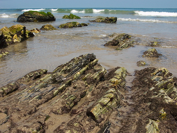 sedimentary-striated-rock-Point-Dume-tide-pools-2012-07-02-IMG 2176