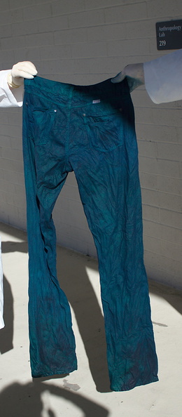 indigo-jeans-coming-out-of-dye-bath-2011-12-07-IMG_3656.jpg