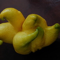 Citrus_Fruit-buddhas-hand.jpg