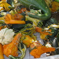 pumpkins-gourds-Underwood-Farms-2014-10-19-IMG_4166.jpg