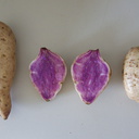 sweet-potato-Japanese-blue-inside-2012-04-27-IMG 1619