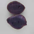 sweet-potato-Japanese-even-bluer-when-cooked-2012-04-27-IMG_1623.jpg