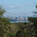 Auckland-from-Rangitoto-summit-track-26-07-2011-IMG 9481