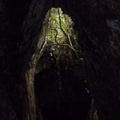 lava-caves-Rangitoto-2015-11-29-IMG 6428