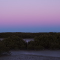 mangroves-at-sunset-Miranda-Shorebird-Reserve-01-07-2011-IMG 9065