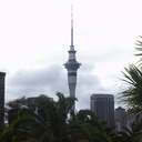 sky-tower-from-Myers-Park-Auckland-24-07-2011-IMG 9456