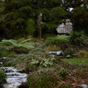 watercourse-to-Cypress-Pond-Ayrlies-Garden-Auckland-2013-07-03-IMG 8813