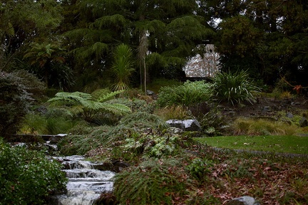 watercourse-to-Cypress-Pond-Ayrlies-Garden-Auckland-2013-07-03-IMG 8813