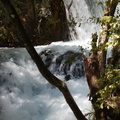 first-falls-and-rapids-Tarawera-to-Waterfall-Track-2015-10-16-IMG 1950