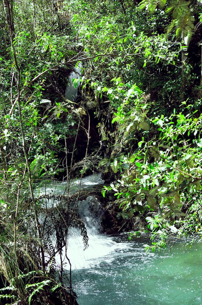 second-falls-and-rapids-river-goes-underground-Tarawera-to-Waterfall-Track-2015-10-16-IMG_5829.jpg