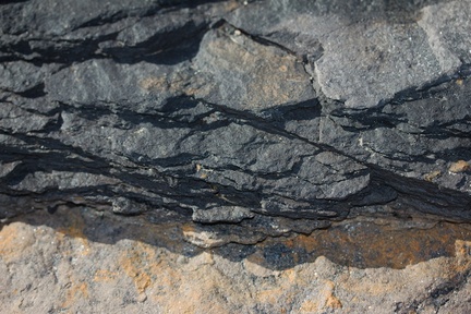 shale-and-coal-in-surface-rock-Denniston-plateau-2013-06-12-IMG 8130