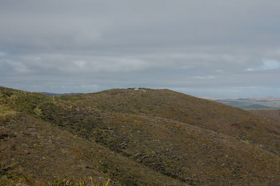 Sitinnerie-hiding-from-the-wind-Cape-Reinga-2015-09-08-IMG 1247