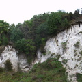 limestone-cliffs-Cordyline-Waitara-Stream-campsite-08-06-2011-IMG_8352.jpg