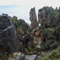 Pancake-Rocks-stratified-limestone-Punakaiki-2013-06-13-IMG 8154