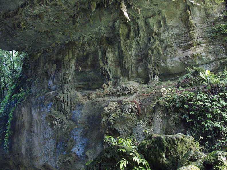 biokarst-rock-formations-of-arch-of-Natural-Bridge-Mangapohue-2013-06-21-IMG 1733