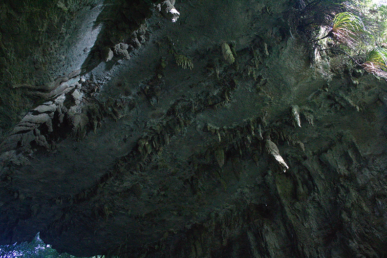 biokarst-rock-formations-of-arch-of-Natural-Bridge-Mangapohue-2013-06-21-IMG_8362.jpg