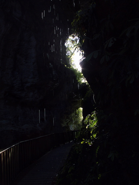 light-under-bridge-and-dripping-rocks-Natural-Bridge-Mangapohue-2013-06-21-IMG_1728.jpg