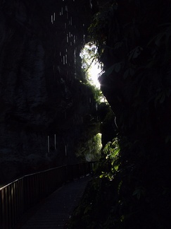 light-under-bridge-and-dripping-rocks-Natural-Bridge-Mangapohue-2013-06-21-IMG 1728