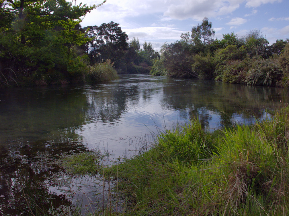 Waitahanui-River-view-2015-10-28-IMG 6109
