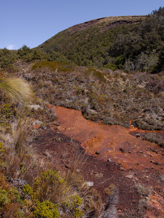 iron-bearing-stream-Silica-Rapids-Track-Tongariro-2015-11-02-IMG 6193